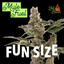Mule Fuel Buds 7 Gram