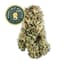 Hellcat #15 Buds 3.50 Gram