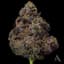 Chem Roll Buds 3.50 Gram