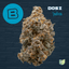 Dosidos Buds 14 Gram