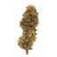 Punk Rock Runtz Buds 3.50 Gram