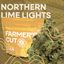 Northern Lime Lights Buds 28 Gram