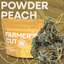 Powder Peach Gram 28