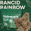 Rancid Rainbow Gram 28
