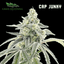Cap Junky Buds 3.50 Gram