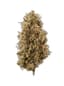 Lemon Haze Buds 3.50 Gram