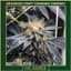 Mandarin Temple Buds 3.50 Gram