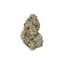 Peach Crescendo Buds 3.50 Gram