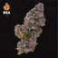 Ice Cream Gelato Buds 3.50 Gram