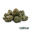 Gush Mints Buds 3.50 Gram