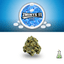 Zmints 11 Gram 28