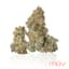 Gmo Buds 3.50 Gram