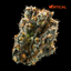 Scotch & Soda Buds 3.50 Gram