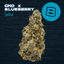 Gmo X Blueberry Buds 3.50 Gram