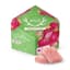 Pear Gummies Cbg 100 Mg