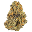 Blueberry Tart Buds 7 Gram
