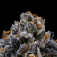 Animal Style Buds 3.50 Gram