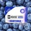 Blueberry Gummies Thcv:cbd:cbg:cbn 100 Mg