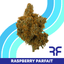 Raspberry Parfait Buds 3.50 Gram