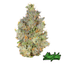 Oz Kush Buds 3.50 Gram