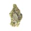 Gmo Buds 3.50 Gram