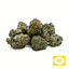 Baby Turtle Buds 7 Gram