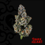 Triple Stack Buds 3.50 Gram