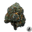 Family Ties Buds 3.50 Gram