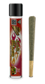 Fruit Punch 1 Pack Infused Pre Rolls 1.20 Gram