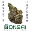 Dantes Inferno Buds 14 Gram