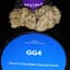 Gg #4 Buds 28 Gram