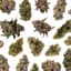 Cap Junky Buds 1 Gram