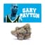 Gary Payton Buds 3.50 Gram