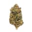 Jon Woo Buds 3.50 Gram