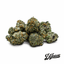 Deliziozo Buds 3.50 Gram